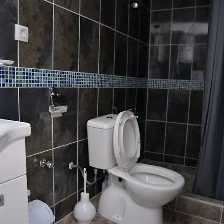 Milovanovic Apartment Vrnjacka Banja