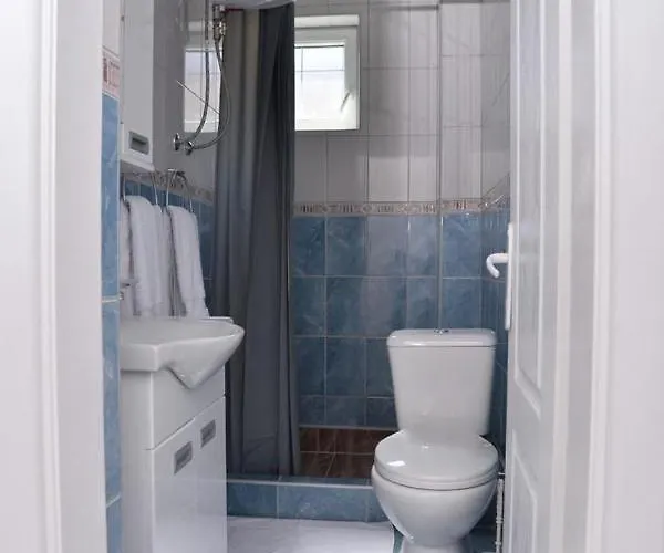 Daire Milovanovic Vrnjačka Banja